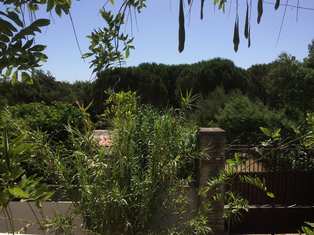 Maison D'Elie Saint-Tropez Exterior photo